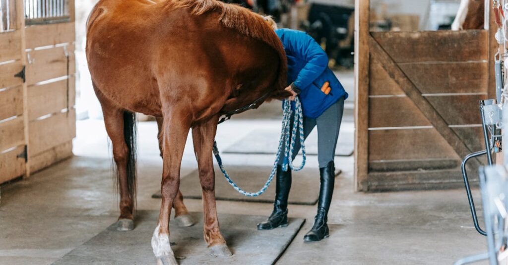 蹄鉄なしで傷んだ馬の蹄のイメージ