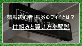 競馬初心者|馬券のワイドとは？仕組みと買い方をわかりやすく解説