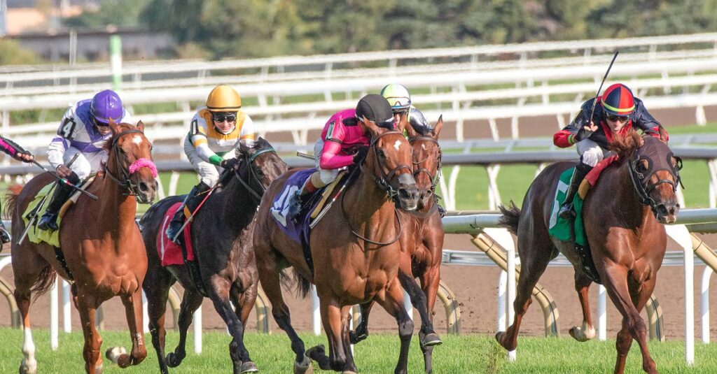 根拠を持って穴馬を選ぶイメージ