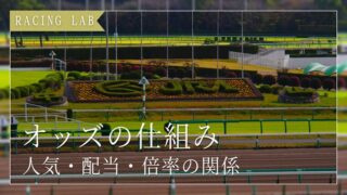 競馬のオッズの仕組みを初心者向けに解説|人気・配当・倍率の関係